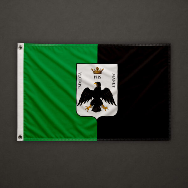 City of Eagle Flag