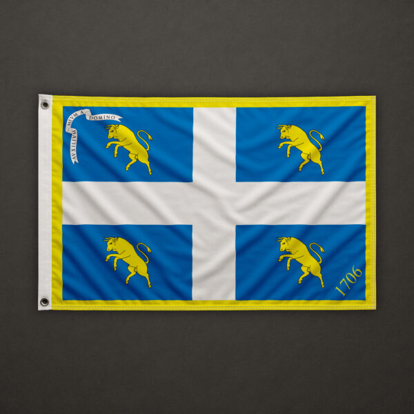 City of Turin Flag