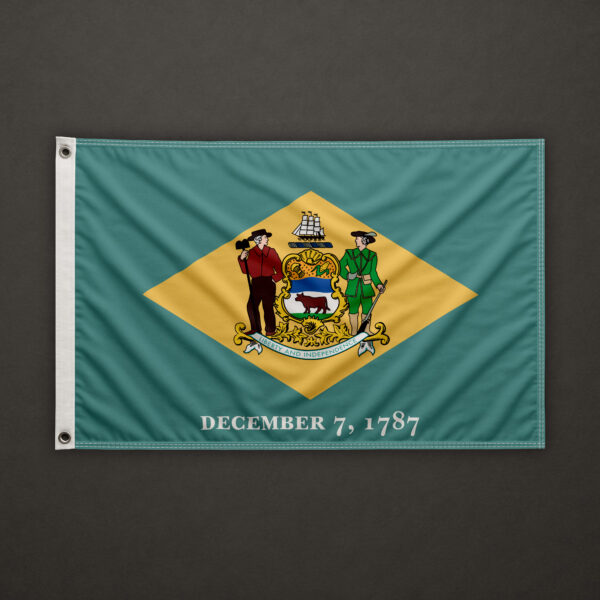 Delaware Flag