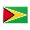 Bandiera da bastone Guyana 20x30cm