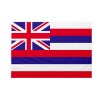 Bandiera da bastone Hawaii 20x30cm