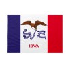 Bandiera da bastone Iowa 20x30cm
