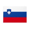 Bandiera da pennone Slovenia 400x600cm