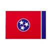 Bandiera da bastone Tennessee 20x30cm