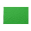 Bandiera da bastone Verde  70x105cm