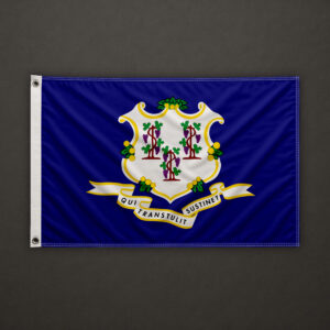 Connecticut Flag