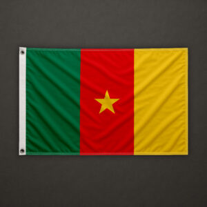 Cameroon Flag