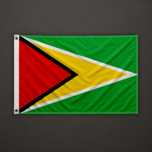 Guyana Flag